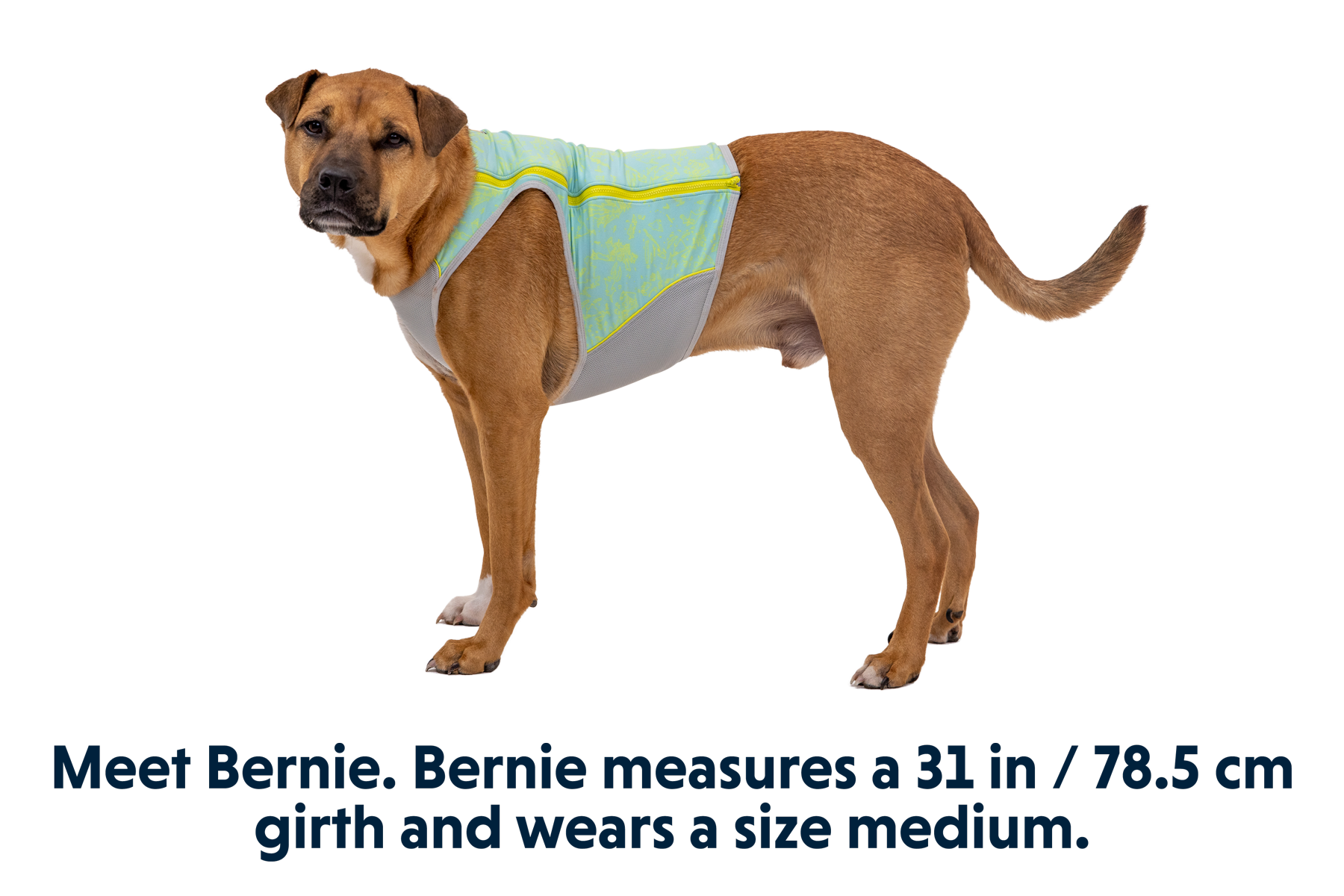 05451_Swamp-Cooler-Zip_Aurora-Teal_BERNIE_Medium_a367cc96-135e-4f5d-a835-93294d000298.png