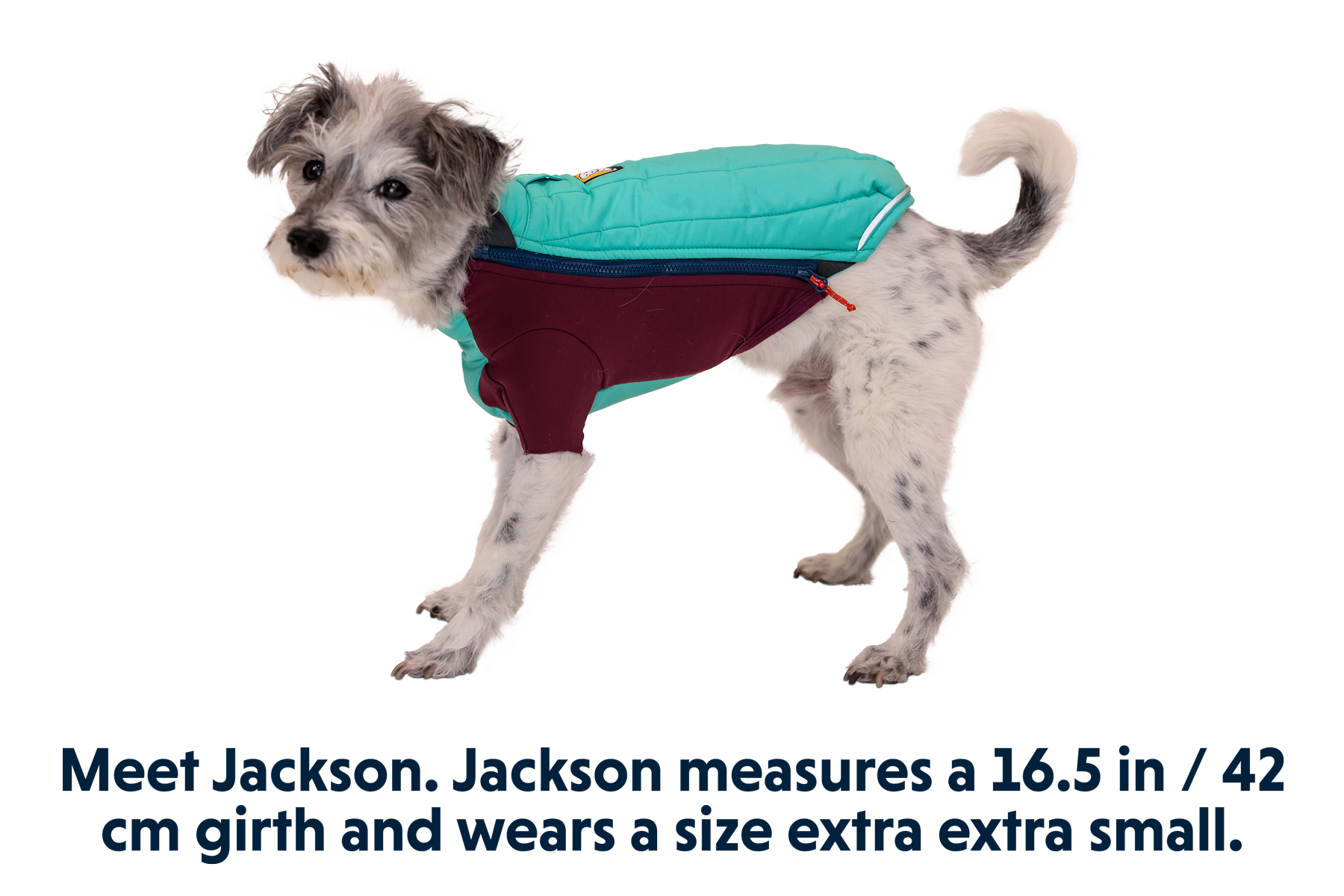 05702_Powder-Hound_Aurora-Teal_JACKSON_XXSmall.png