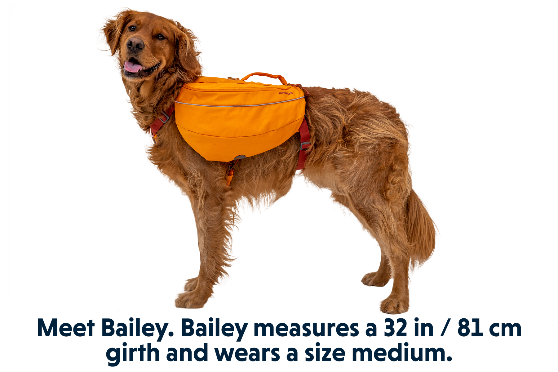 50103_Approach-Pack_Campfire-Orange_BAILEY_Medium_4451d5eb-3c61-4810-898c-95b4e9ace604.png