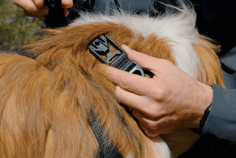 RIdgeline_Collar_1.gif